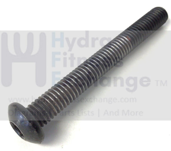 Bodyguard Treadmill Button Head Screw M10/1.5