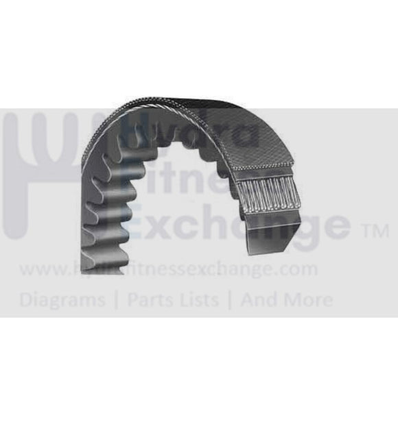 Cybex Trotter 540ST Treadmill Drive Belt 36