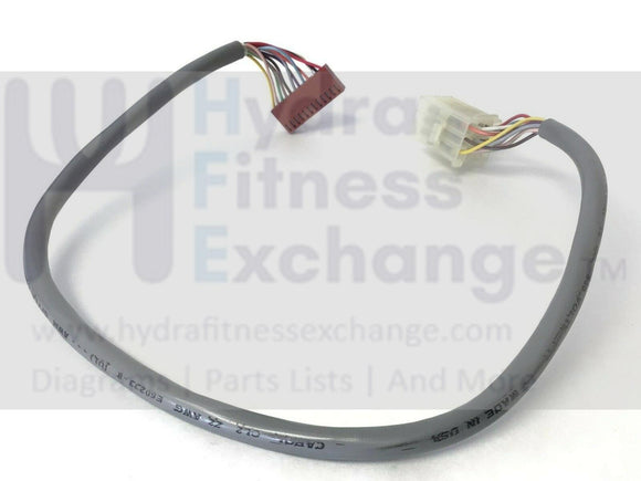 Cybex Trotter 540ST Treadmill Main Wire Harness E60233-8 Lower Board-hydrafitnessparts