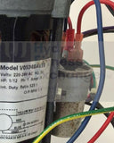 Cybex Trotter Treadmill Incline Lift Elevation Motor Actuator SK-15161 or V05748-hydrafitnessparts