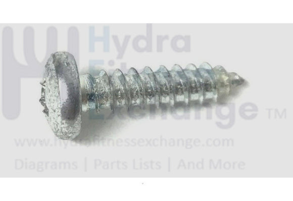 Epic Fitnex Freemotion Gold's Gym Healthrider Treadmill Screw 10