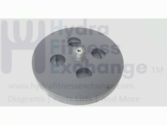 Epic FreeMotion Elliptical Magnetic Brake Flywheel Mechanism 352171-hydrafitnessparts