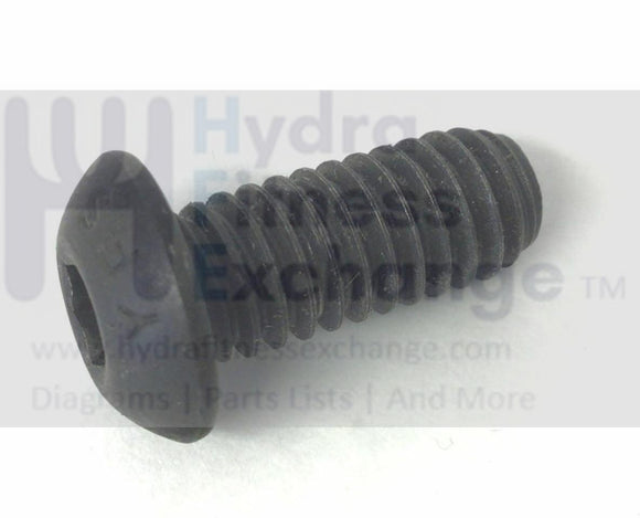 Epic FreeMotion Gold's Gym HealthRider Image Weider Treadmill Screw Bolt 013556-hydrafitnessparts