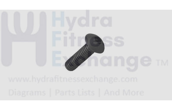 Epic FreeMotion Gold's Gym HealthRider Proform Elliptical Screw M8 X 19MM 207682-hydrafitnessparts