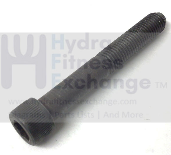 Epic FreeMotion Gold's Gym Treadmill Rear Roller Bolt 5-16-24 X 2.20