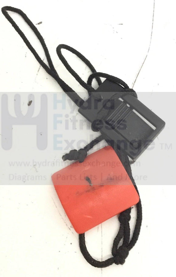 Epic FreeMotion HealthRider NordicTrack Treadmill Safety Key Lanyard 256790-hydrafitnessparts