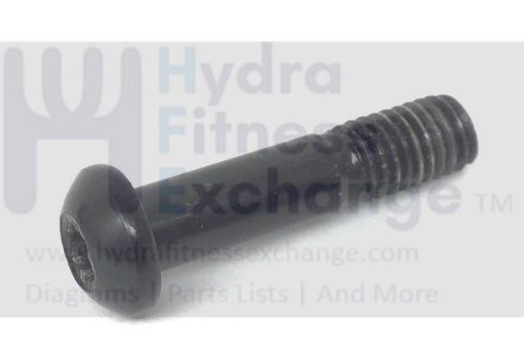 Epic Freemotion Gold's Gym Healthrider Image Elliptical Screw M8 X 35mm 183870-hydrafitnessparts