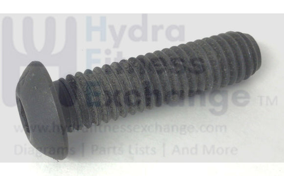 Epic Freemotion Gold's Gym Healthrider Image Treadmill Handrail Screw 142622-hydrafitnessparts