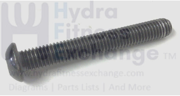Epic Gold's Gym Healthrider Elliptical Button Head Screw M8 - 1.25