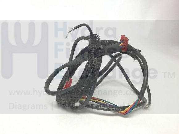 Epic NordicTrack Weider Treadmill Upright Wire Harness 238706-hydrafitnessparts