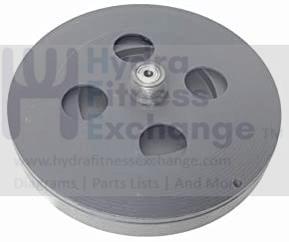 Epic Proform Nordictrack FreeMotion Elliptical Magnetic Brake Flywheel Mechanism 364319-hydrafitnessparts