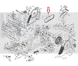 FreeMotion 350R SFEX050111 Recumbent Bike Main Drive Motor Belt 16" 301434-hydrafitnessparts