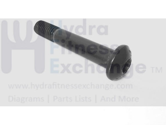 FreeMotion HealthRider Image NordicTrack Elliptical Screw M10 X 60MM 208938-hydrafitnessparts