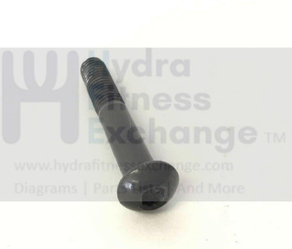 FreeMotion HealthRider Proform NordicTrack Elliptical Bolt M10 X 60MM 208938-hydrafitnessparts