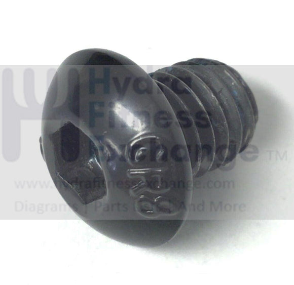 FreeMotion Proform Elliptical Crank to Flywheel Screw M8-1.25 x 10mm 345484-hydrafitnessparts