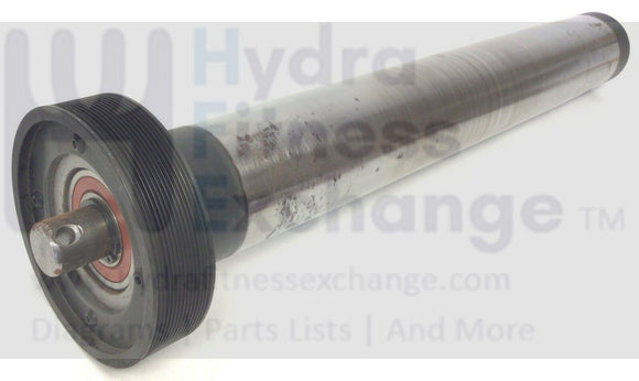 FreeMotion Treadmill Drive Roller with Pulley FM-I119-DRWPR i11.9-hydrafitnessparts