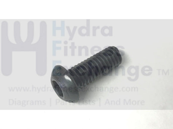 Gold''s Gym Epic FreeMotion HealthRider Bench Button Head Socket Screw 208939-hydrafitnessparts