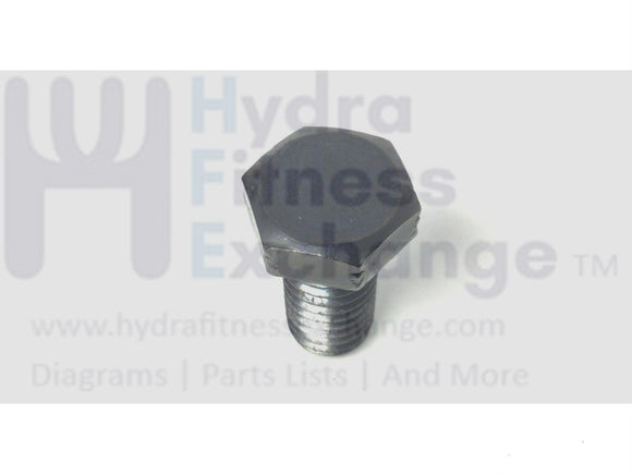 Golds Gym HealthRider Lifestyler NordicTrack Treadmill Motor Bolt Screw 117332-hydrafitnessparts