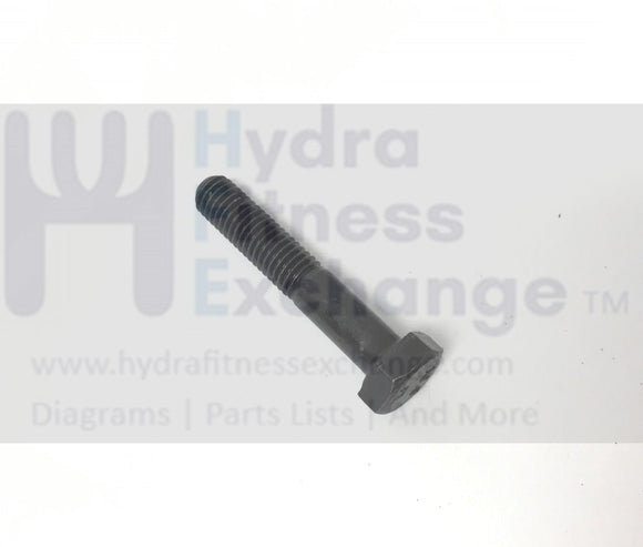 Gold's Gym HealthRider NordicTrack Proform Elliptical M8 X 45MM Bolt 013226-hydrafitnessparts