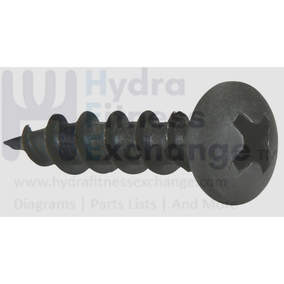 Gold's Gym HealthRider Proform Reebok (Icon) Treadmill Console Screw 158925-hydrafitnessparts