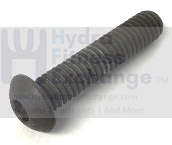 Gold's Gym Image FreeMotion HealthRider Treadmill Front Platform Bolt 5/16