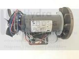 HealthTrainer Ironman Triumph 220T Treadmill DC Drive Motor W/ Mount Bracket-hydrafitnessparts