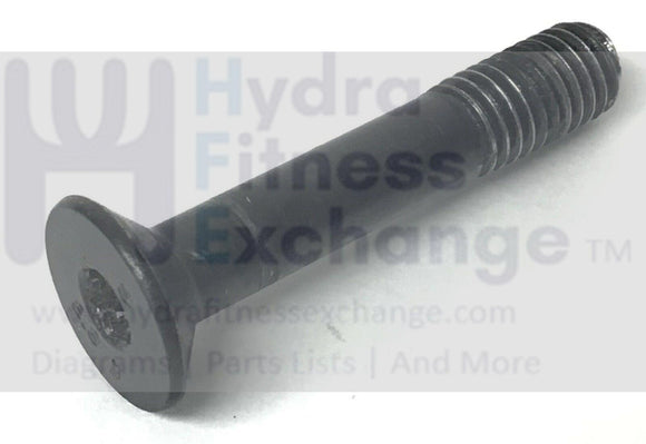 Horizon AFG Vision Fitness Treadmill Hex Socket Screw M8/1.25PX45L 004584-A-hydrafitnessparts