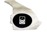 Horizon Fitness 2.0AT 3.0AT T800 T84 T92 T93 E701 30727 CT7.0 LS760T T1200 T700 T7000 T8400HRC Elliptical Audio Sticker 077114-hydrafitnessparts