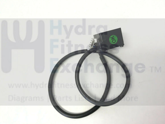 Horizon Fitness Club Series CST3 2005 TM119 Treadmill Console Safety Key pickup-hydrafitnessparts