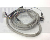 Horizon Fitness Elliptical Console Main Wire Harness E166211 or 002028-D-hydrafitnessparts