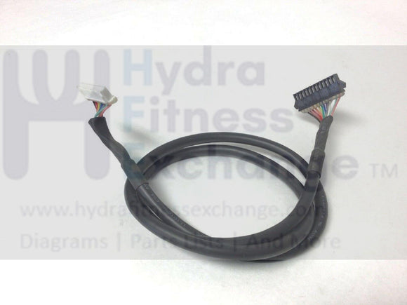 Horizon Fitness Treadmill Console Segment Main Wire Harness 1000300763-hydrafitnessparts
