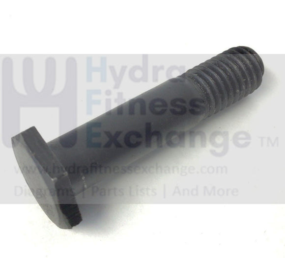 Horizon Tempo Fitness Livestrong Treadmill Screw 1000204184-hydrafitnessparts