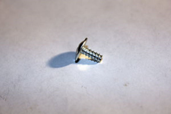 Horizon Vision Fitness Livestrong Treadmill Screw TRH 4x10L 1000104256-hydrafitnessparts