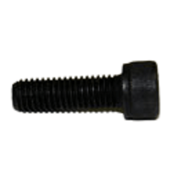 Horizon Vision Fitness Treadmill Round Head Socket Screw M8x1.25Px25L 004483-00-hydrafitnessparts