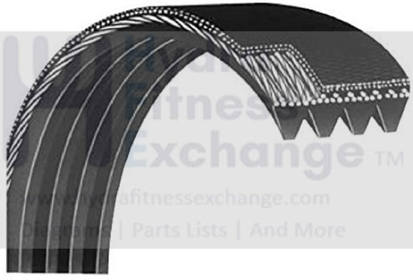 Icon Health & Fitness, Inc. Epic Image Ree-bok Gold's Gym Treadmill Flexonic Motor Belt 260687 8pj556-hydrafitnessparts