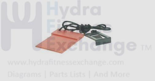 Image Proform Lifestyler Weslo HealthRider Treadmill Safety Key 1.5