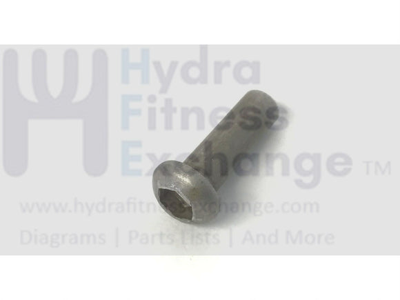 Lemond Fitness Indoor Cycles Button Head M4-.7 X 19mm Barrel Nut 050-15193-hydrafitnessparts