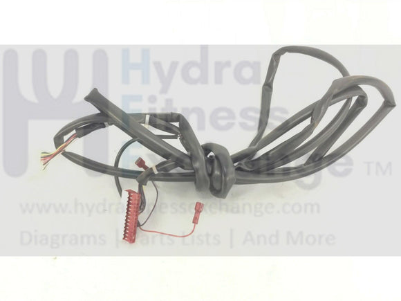 Life Fitness 91X CLSX CSX CT8500 Elliptical Main Wire Harness AK60-00136-0000-hydrafitnessparts