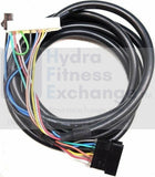 Life Fitness E3-XXXX-0105 Elliptical Console Main Wire Harness E119932-C REX309G-hydrafitnessparts