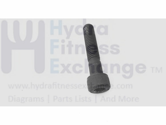 Life Fitness Elliptical Crank Arm Hardware M8 - 1.25 x 39mm Bolt W/Nut M8 - 1.25-hydrafitnessparts