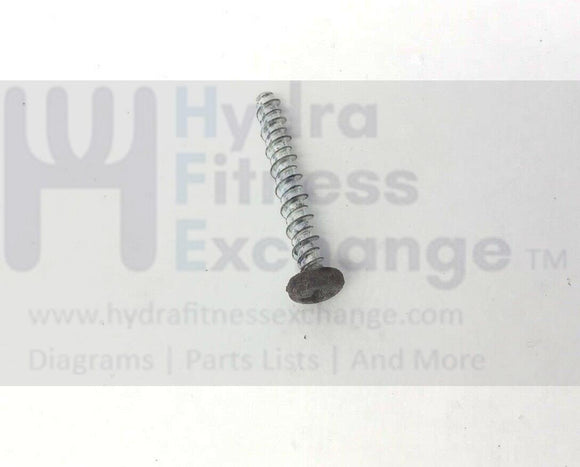 Life Fitness Elliptical Hardware Screw 1