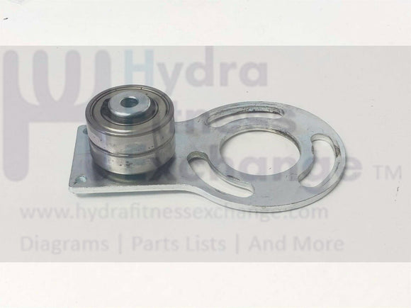 Life Fitness Recumbent Bike Idler Wheel Pulley Belt Tensioner REX0RXQ-hydrafitnessparts