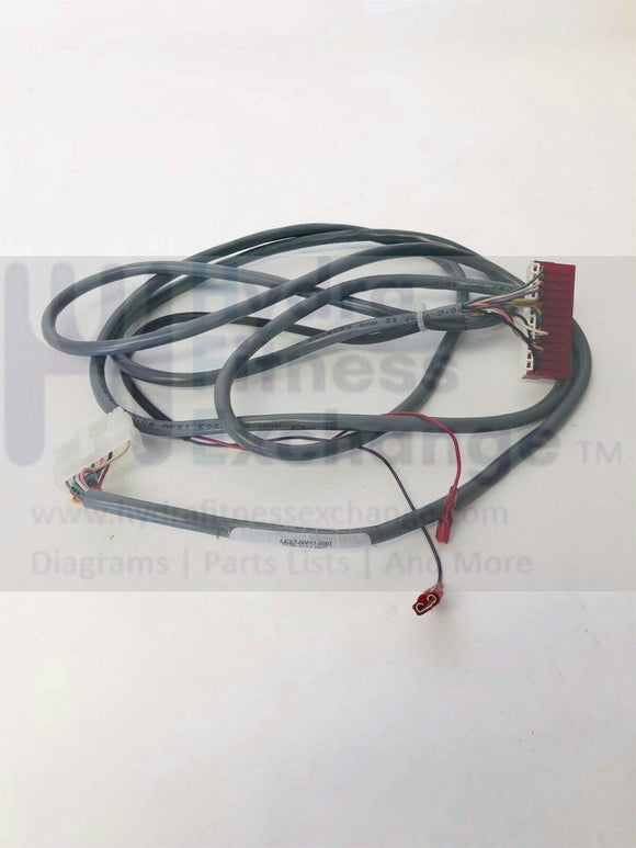 Life Fitness Summit Trainer 95L Stepper Main To Console Wire Harness AK62-00093-0001-hydrafitnessparts
