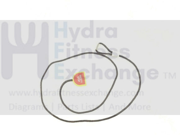 Life Fitness T5.0 Treadmill Safety Key Lanyard Assembly AK59-00062-0000-hydrafitnessparts