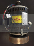Life Fitness T9e Treadmill Drive Motor Emerson j63wzbhe-151 AK60-00168-0000-hydrafitnessparts
