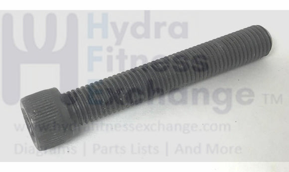 Life Fitness TR-3500 Treadmill Rear Roller Bolt M8-1.0X50MM-hydrafitnessparts
