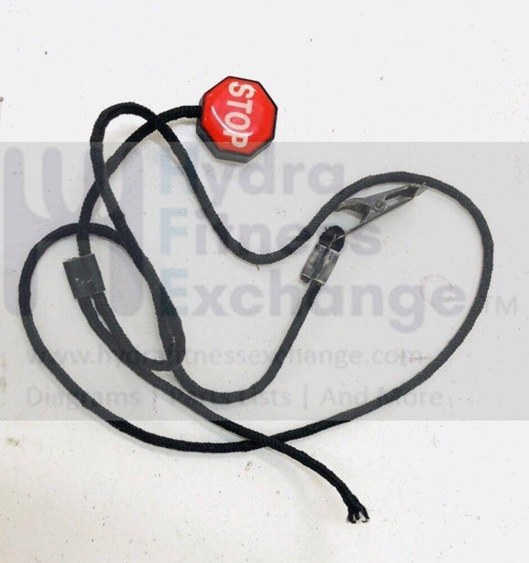 Life Fitness TR9100 TR9500 Treadmill Safety Key AK58-00091-0000-hydrafitnessparts