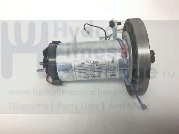 Life Styler NordicTrack ProForm Treadmill DC Drive Motor with Flywheel M-175666-hydrafitnessparts