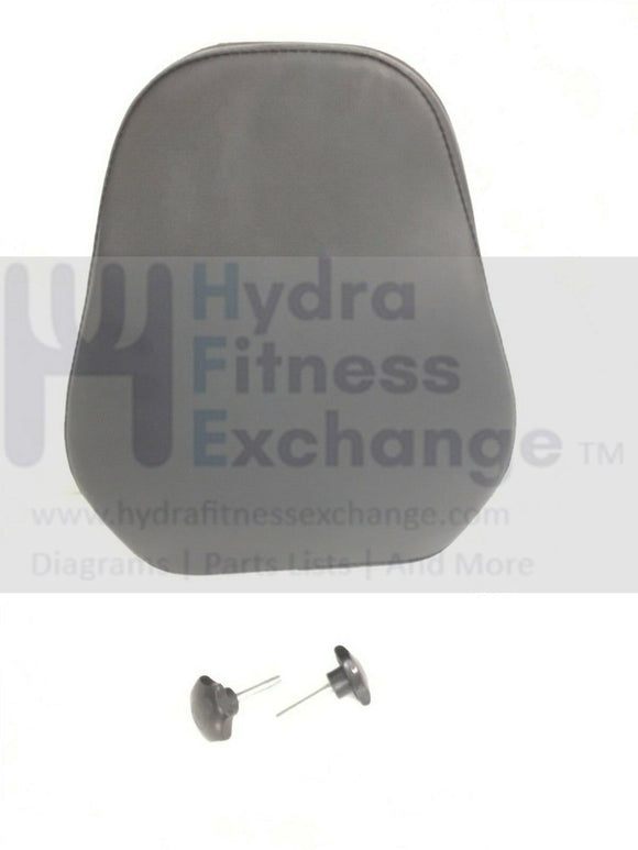 LifeCore Fitness LC-850RB Recumbent Bike Seat Back Cushion With Hardware-hydrafitnessparts