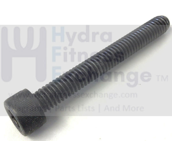LifeSpan Treadmill Rear Roller Bolt 5/16